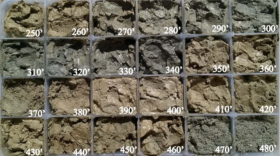 Drill cuttings collected during drilling process at LHSP borehole site.