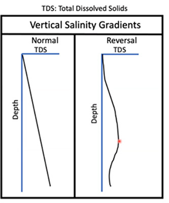 Figure 1. Conceptual model of salinity gradients with depth.