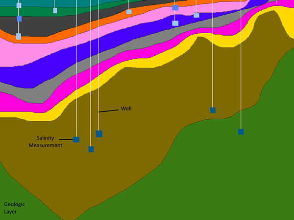 Conceptual cross-section combining geology with well locations, well depths, and measured salinity at each well.