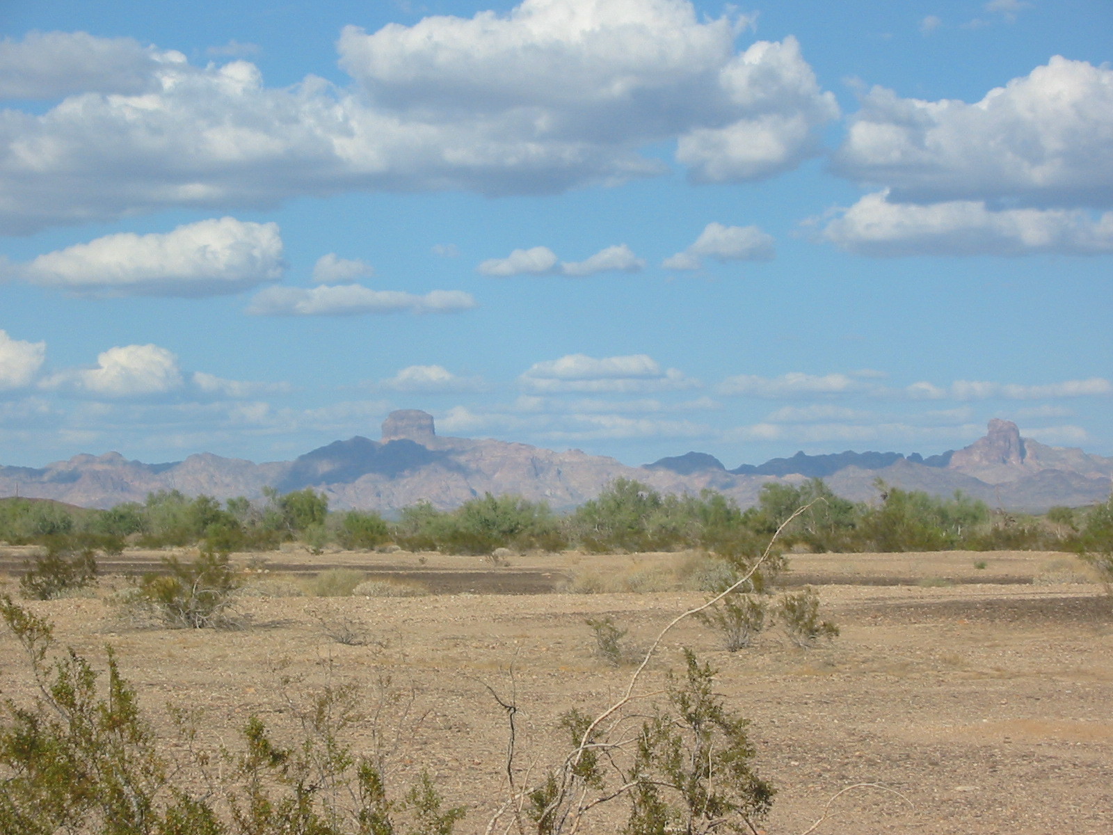 Desert buttes with desert vegetation in the foreground