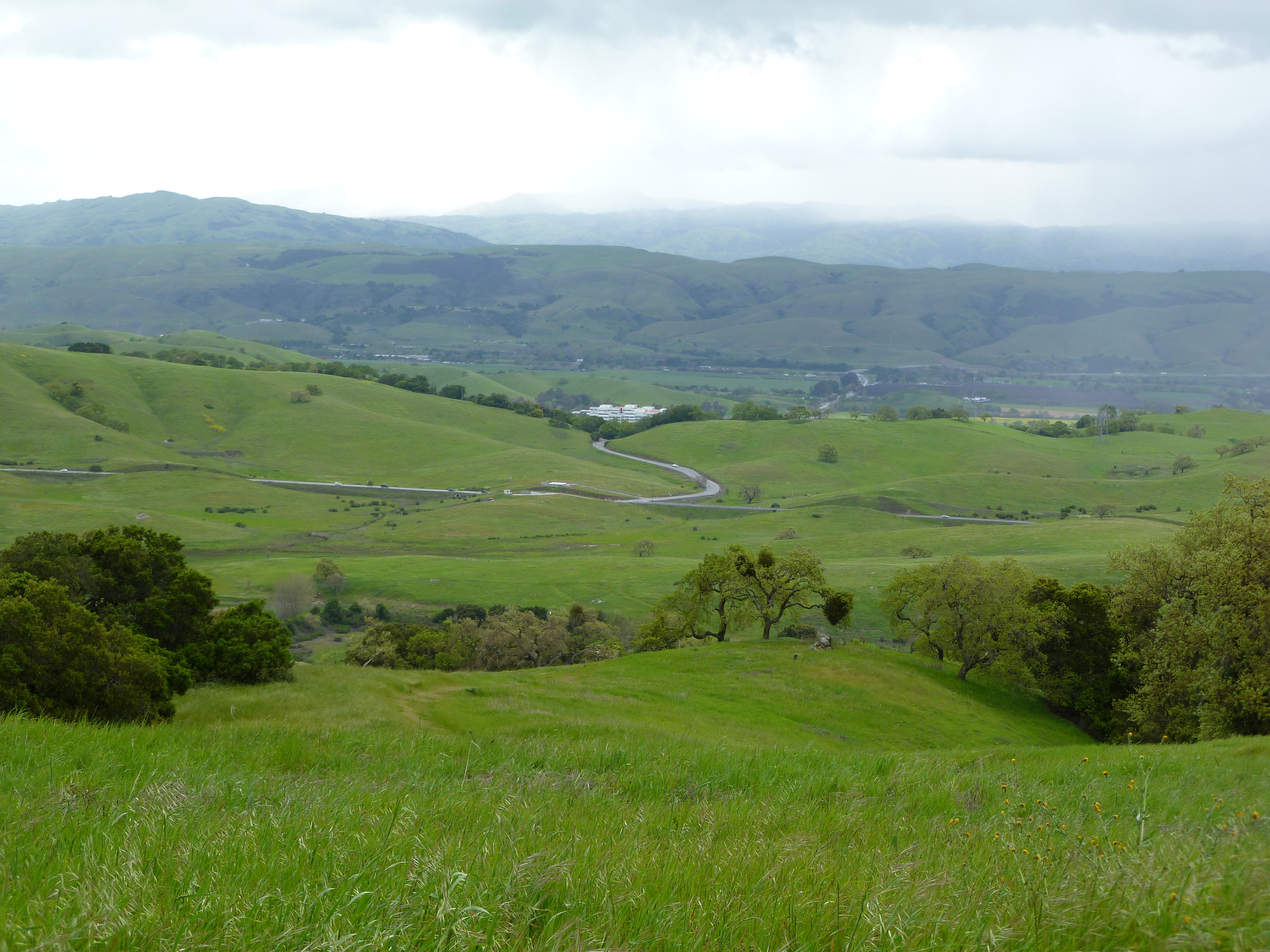 Calero Park showing green hills in foreground and in the distance on a cloudy day