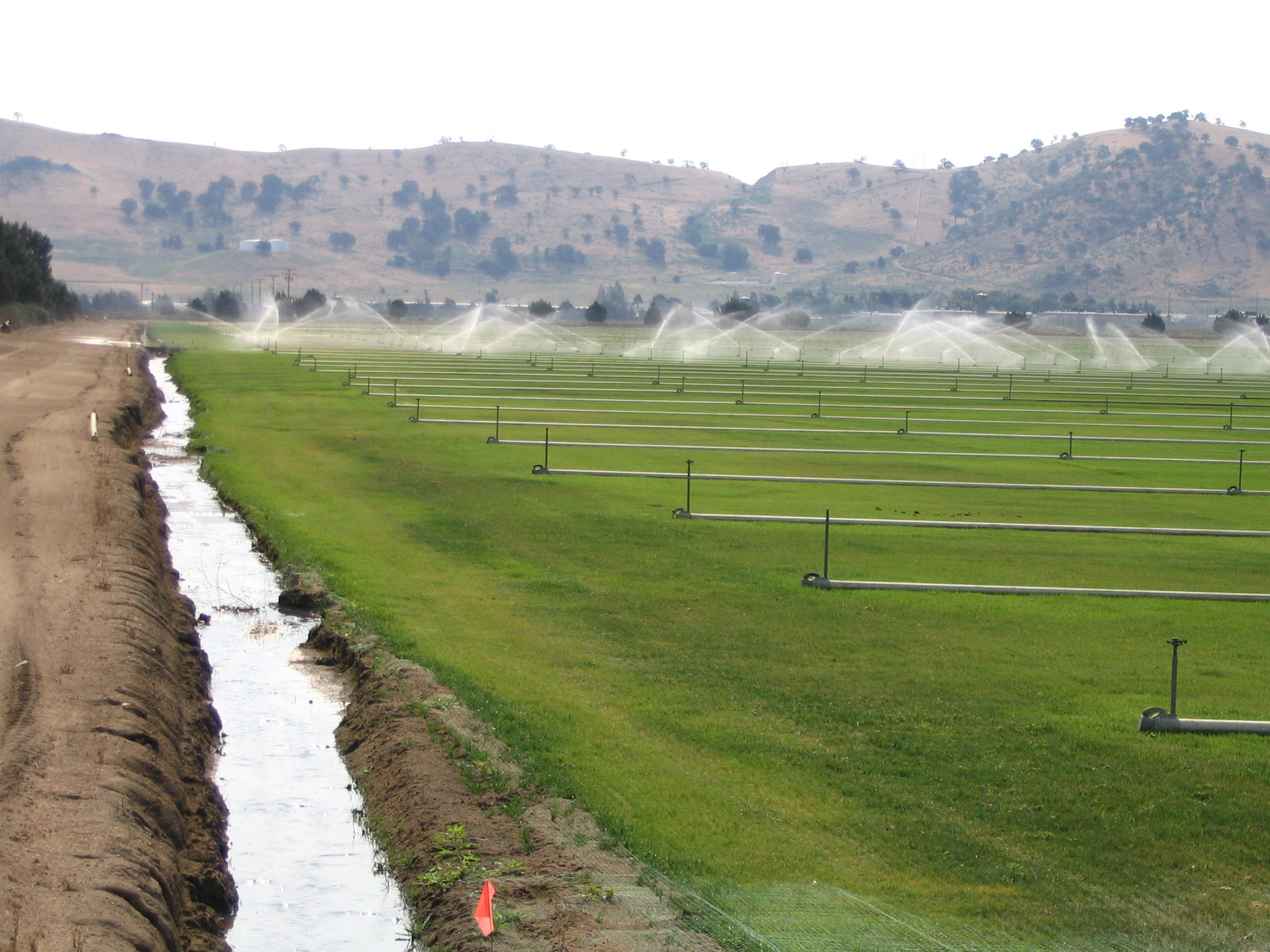 Irrigation canal along a green farm field with fields being irrigated in the distance