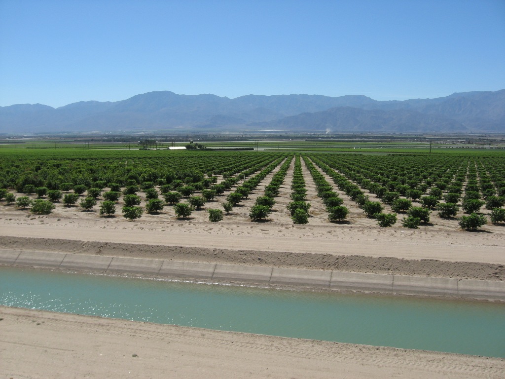 Citrus grove with mountains in background and canal in foreground