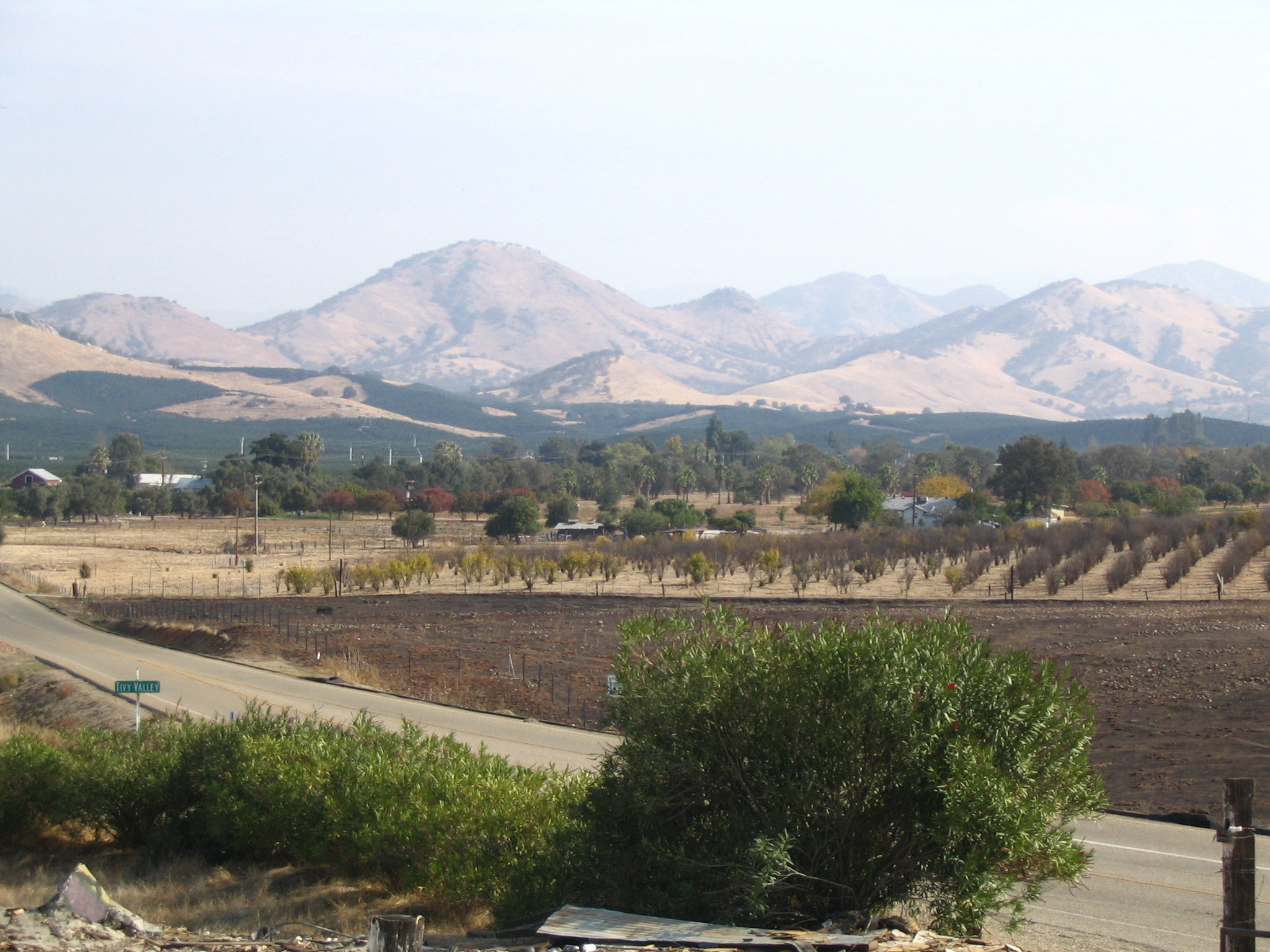 Orchard, hills, and charred land in Fresno