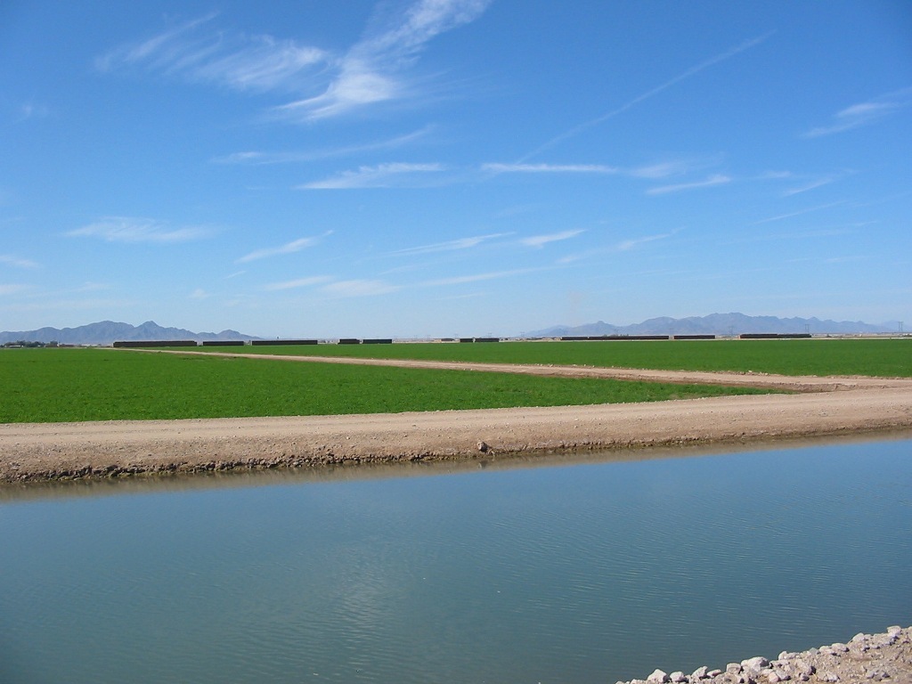 Looking across a canal to green fields, Imperial Valley