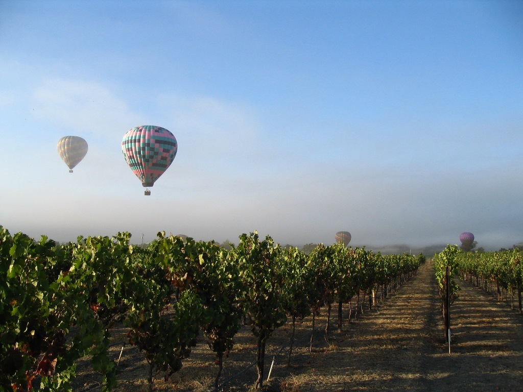 Napa Valley vineyards with hot air balloons overhead