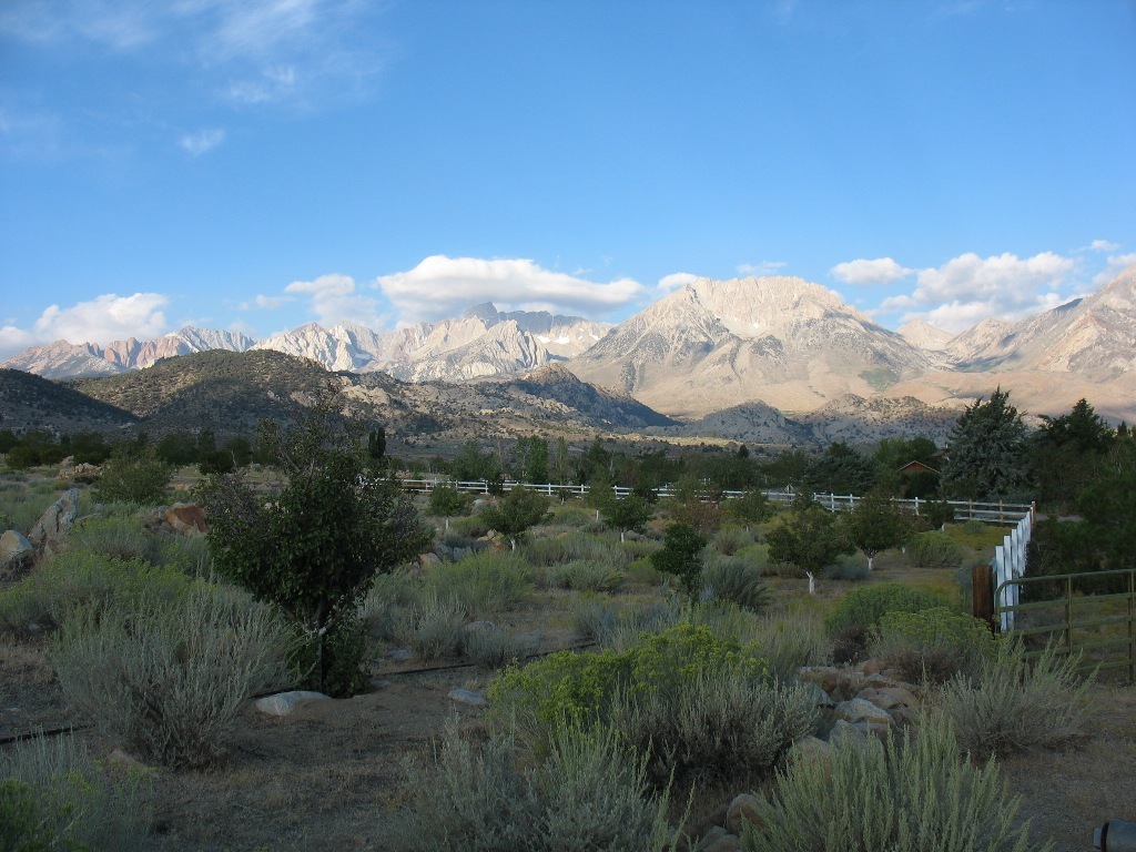 View of eastern Sierra from Owens Valley