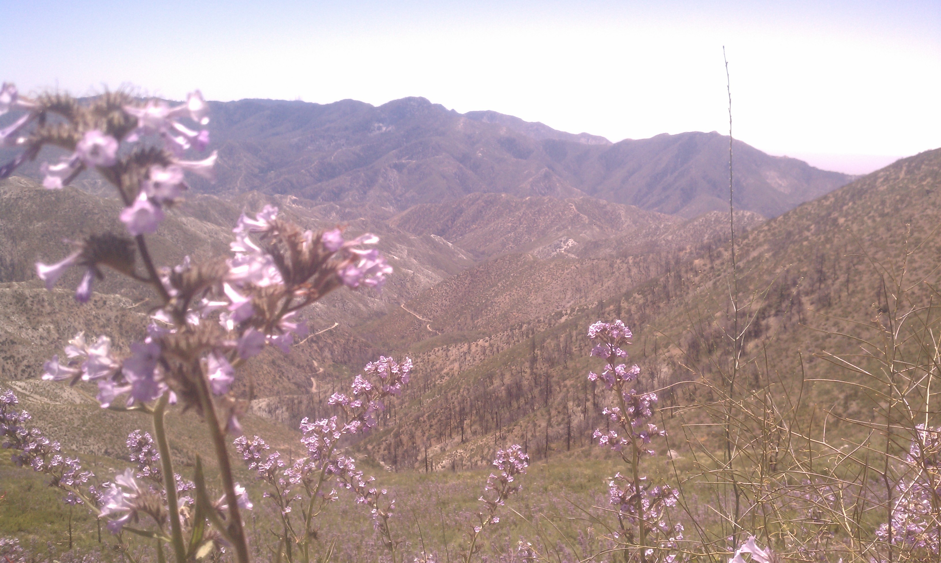 View of San Gabriel Mountains
