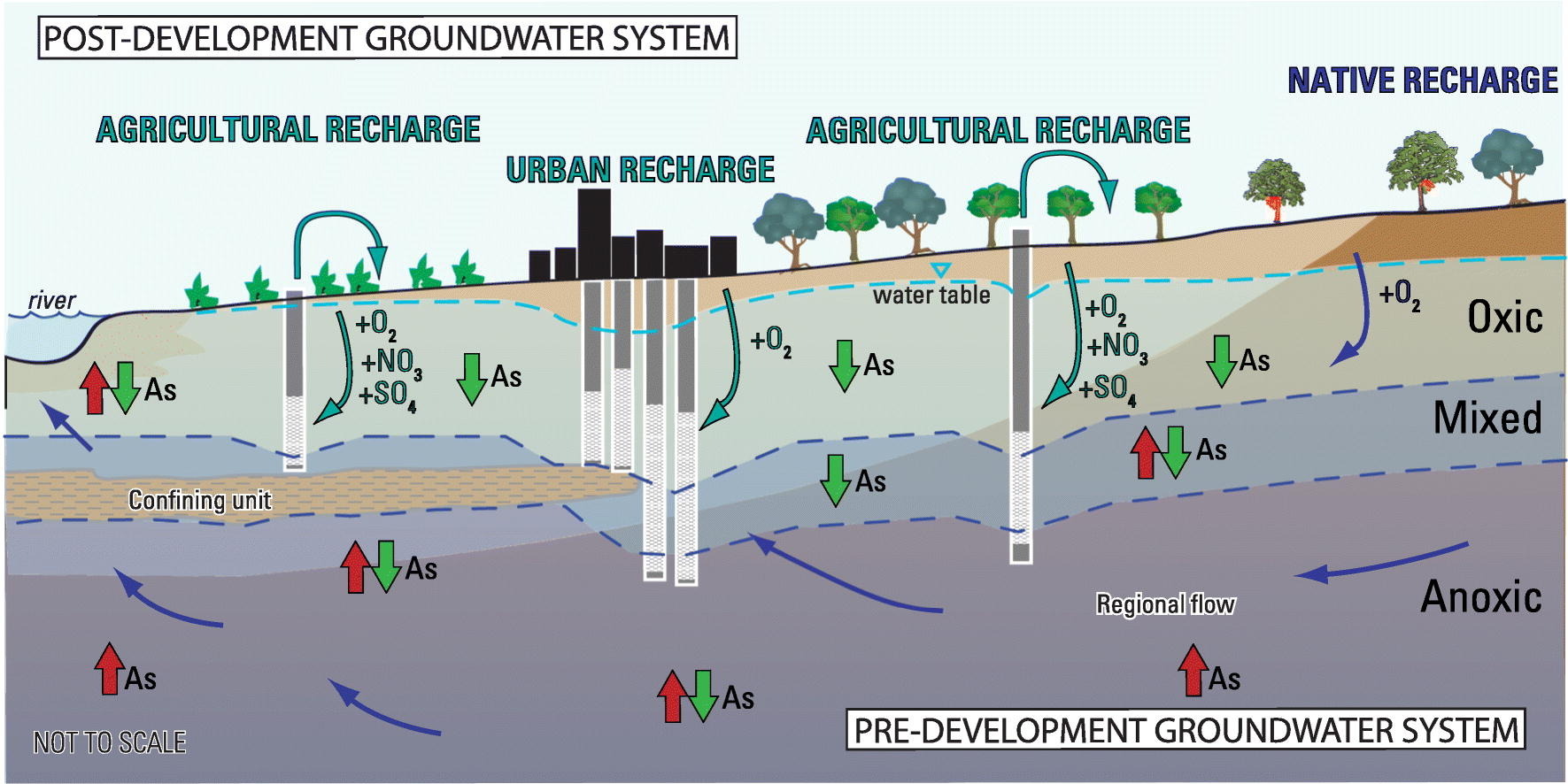 Conceptual model of wells showing factors affecting arsenic in groundwater