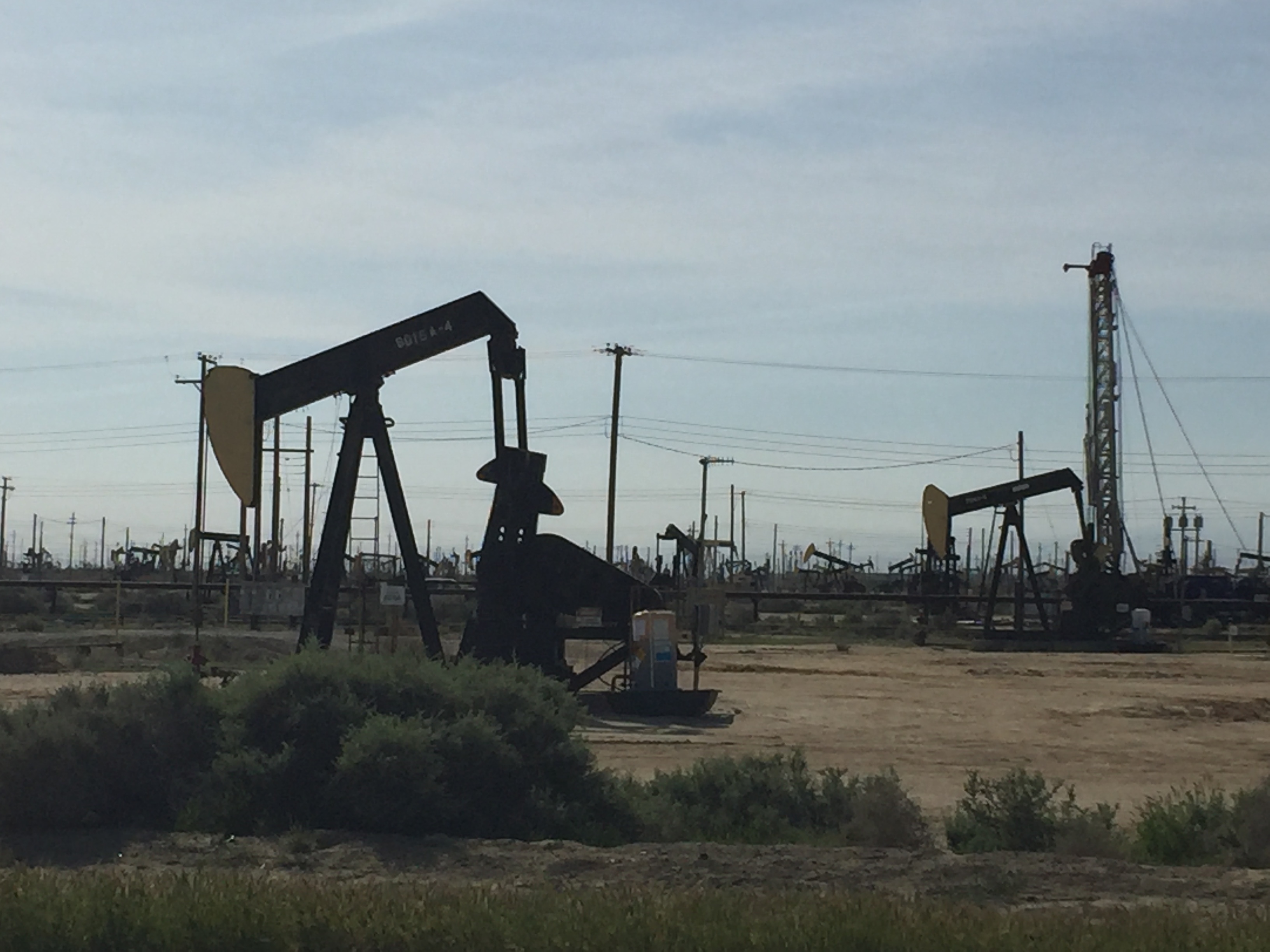 Pumpjacks in Lost Hills Oil Field, California