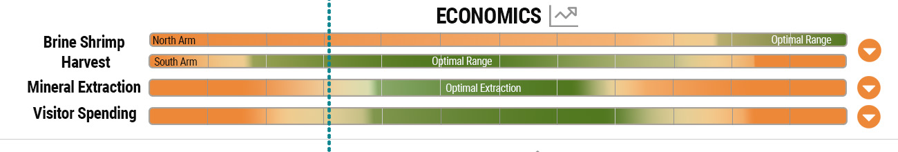 Matrix of adverse and beneficial effects for economics