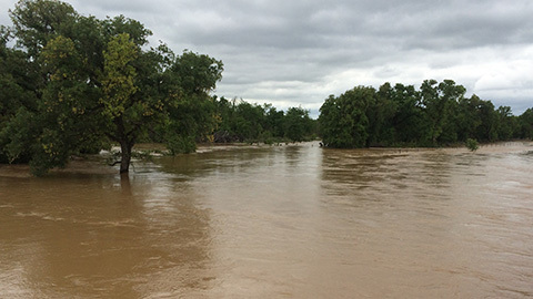 Flooding at the Trinity River