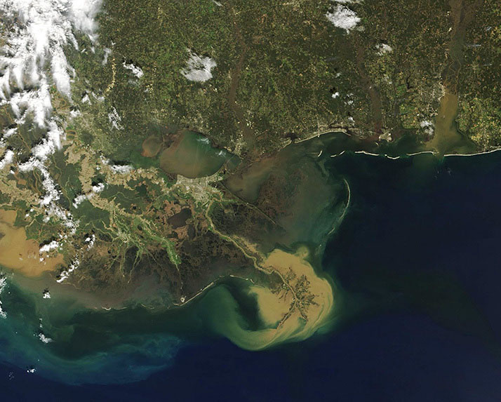 Satellite image of the Mississippi River entering the Gulf of Mexico