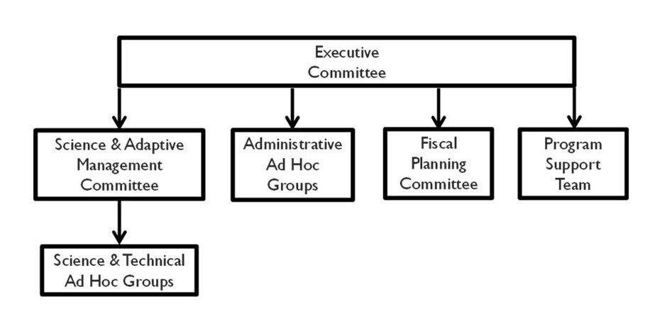 Collaborative Program Organizational Structure