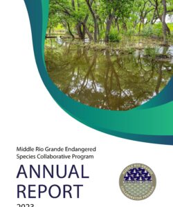 Cover page of annual report