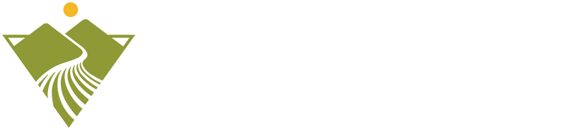 NexView logo