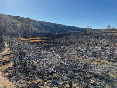 Fence in the foreground left around a charred flat area with clear fire damage