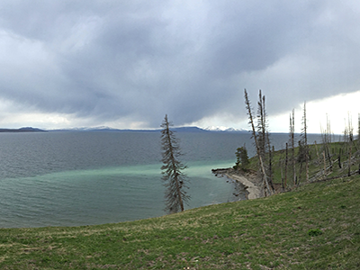 Yellowstone Lake, just east of Steamboat Point in Sedge Bay, showing the shoreline and storm clouds