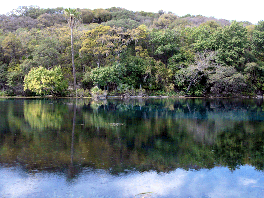 Spring Lake in San Marcos