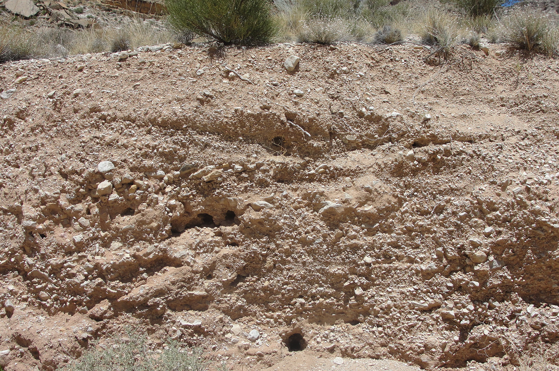 Burrows in waste rock pile