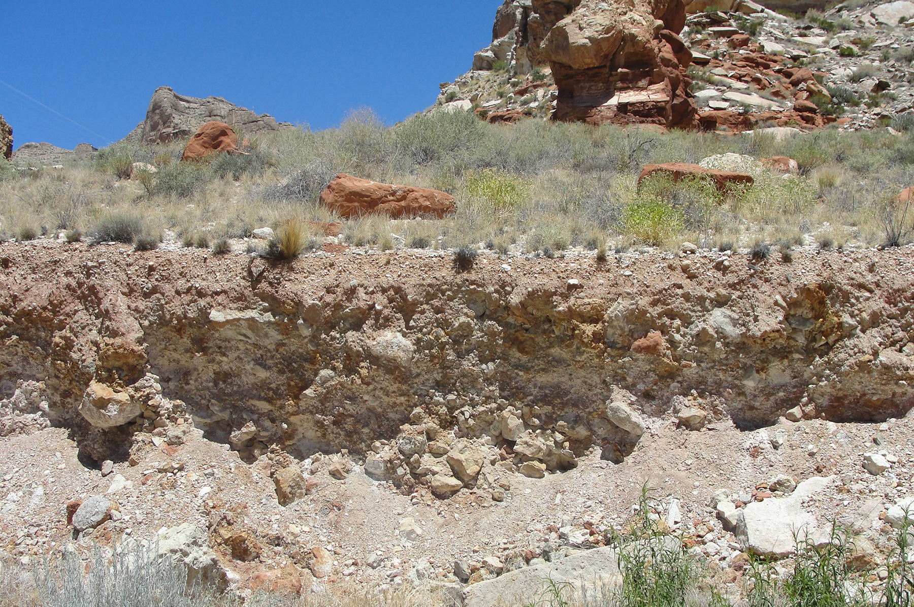 Eroded terrace with burrows