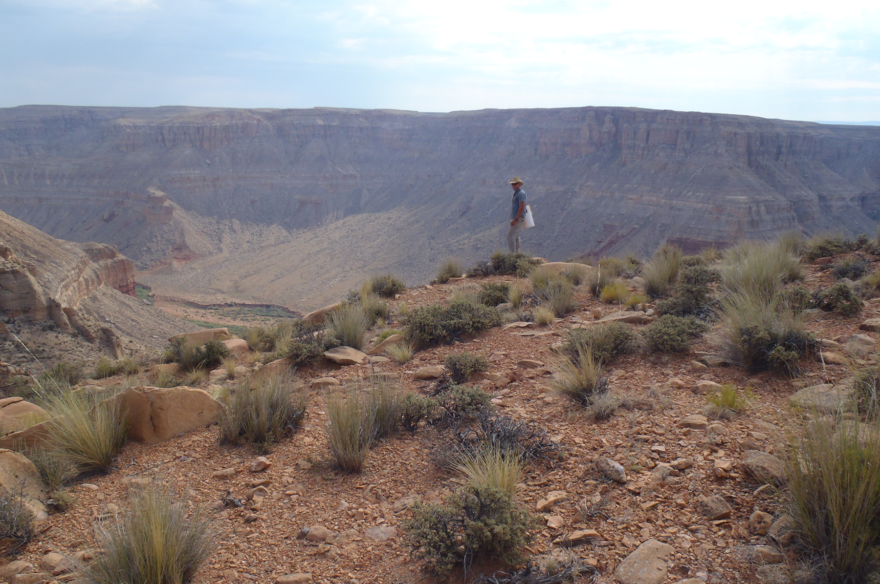  Kanab Creek Canyon 