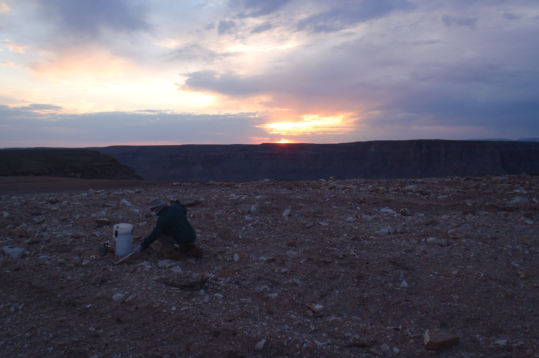 Collecting soil samples 9 