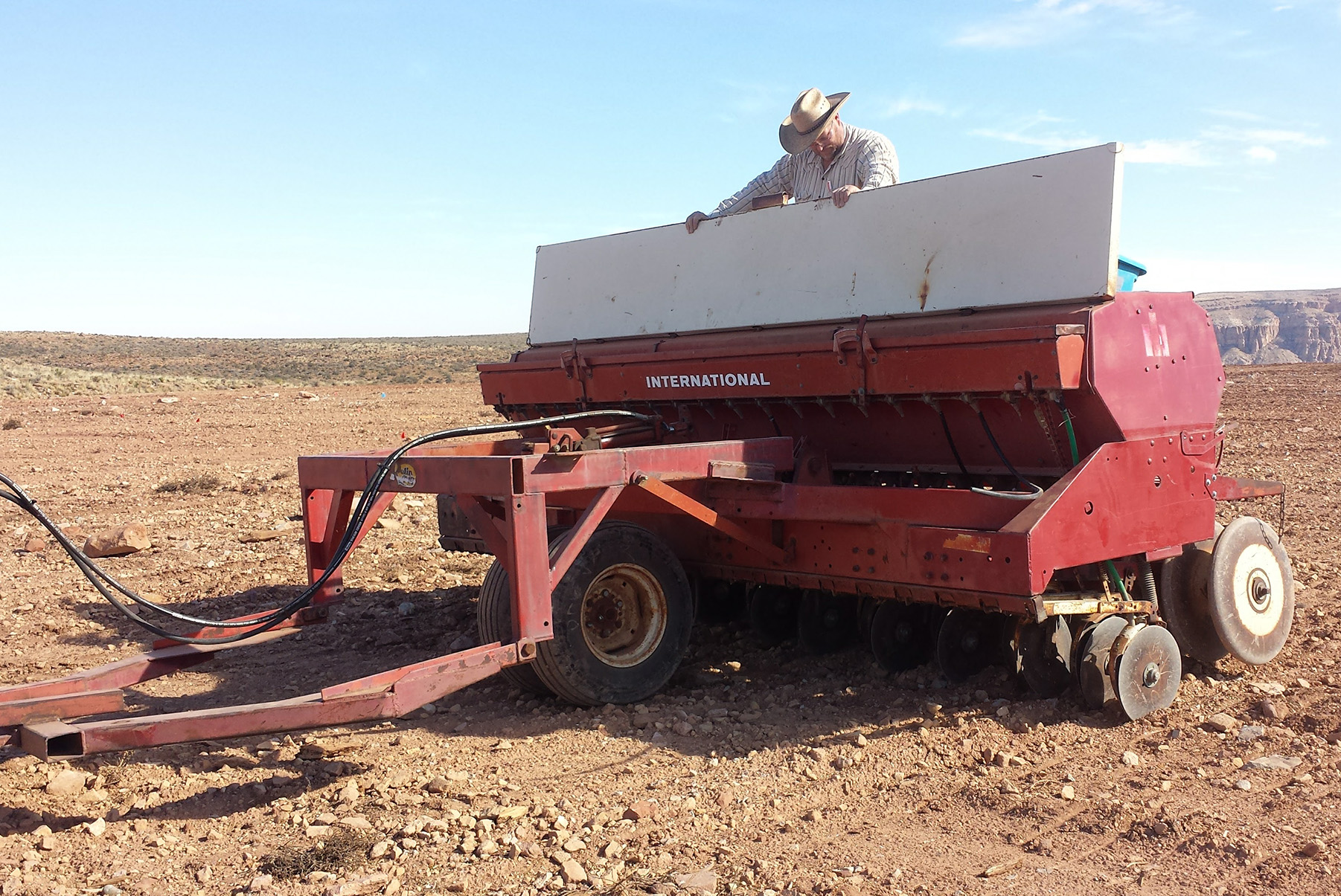  Experimental seeding 