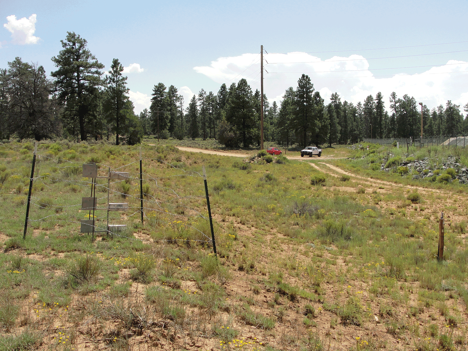  Passive dust sampler, wide view 