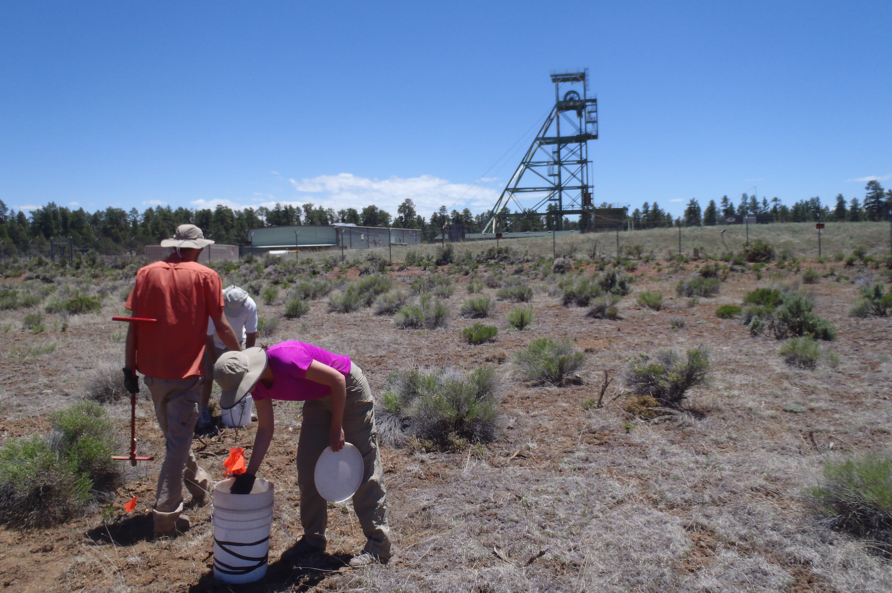  Soil samples outside mine yard 