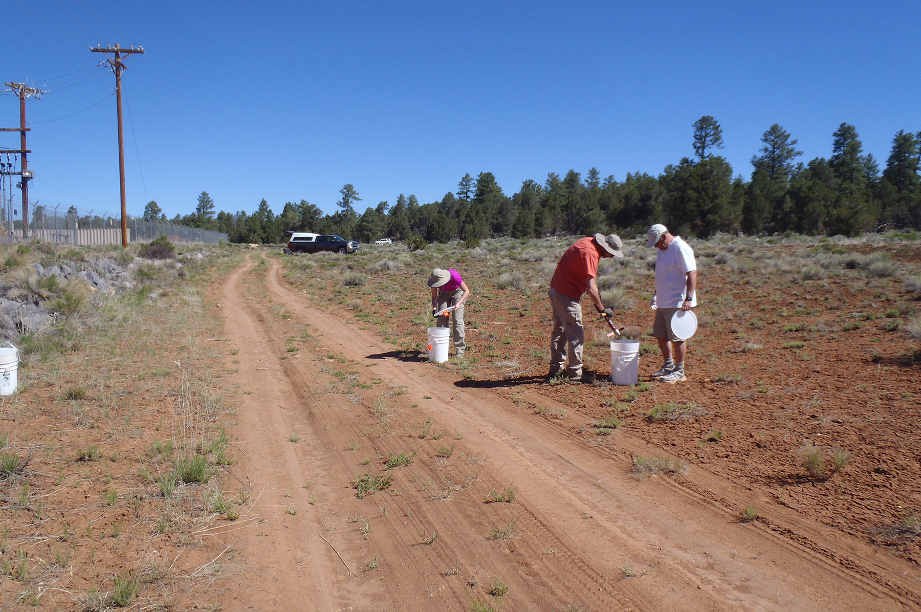  Soil samples along roadway 
