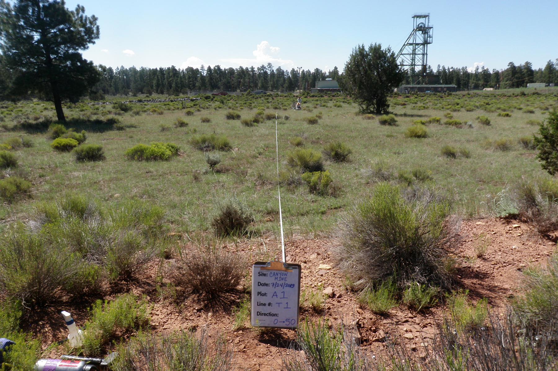  Collecting vegetation data 