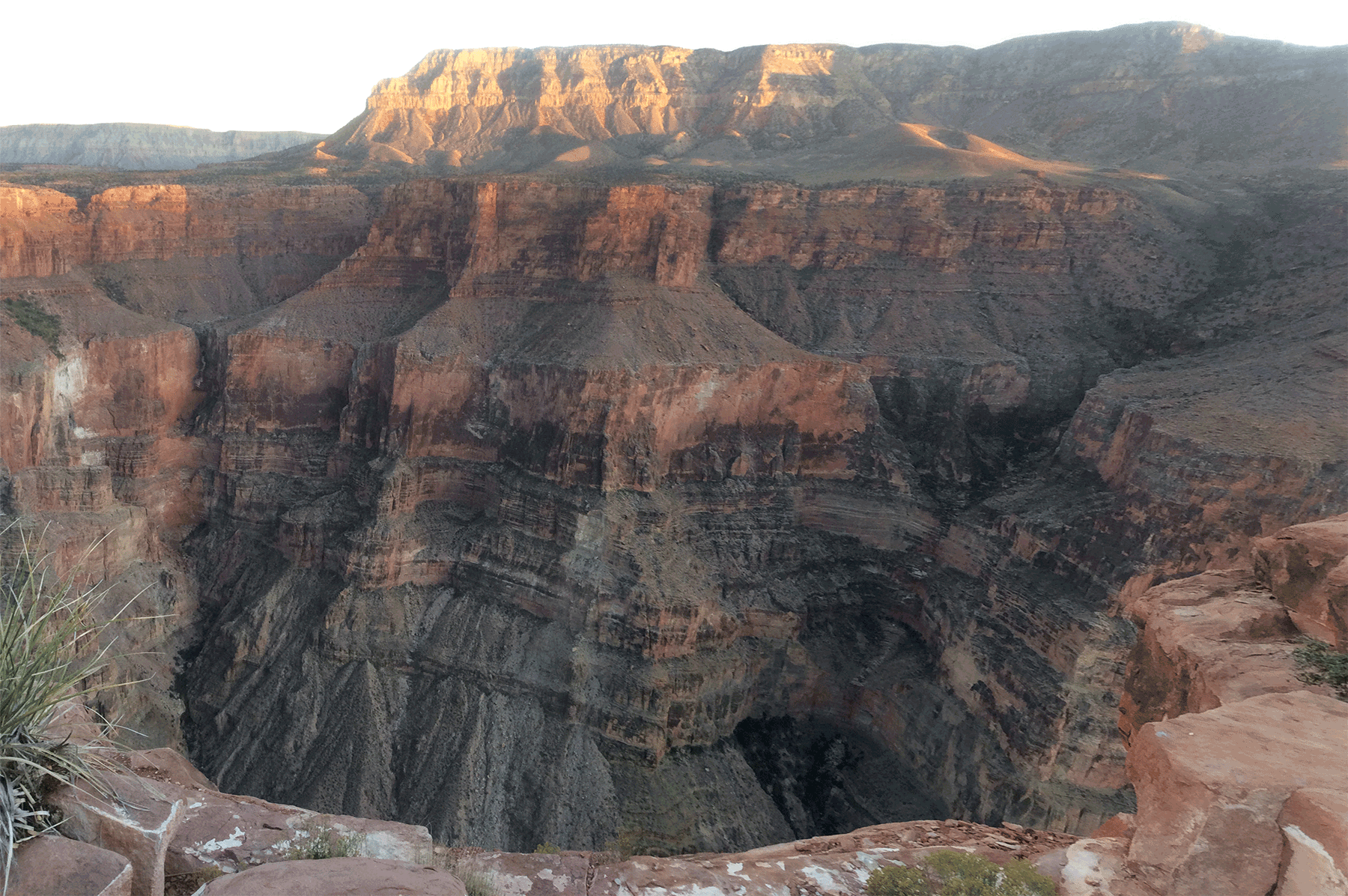  Grand Canyon from Toroweep Overlook 