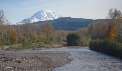 Rainier River