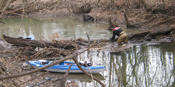 Scientist in knee-deep water in a creek, leaning over a fallen log looking for zebra mussels.   Canoes pulled on to the creek bank to the left.